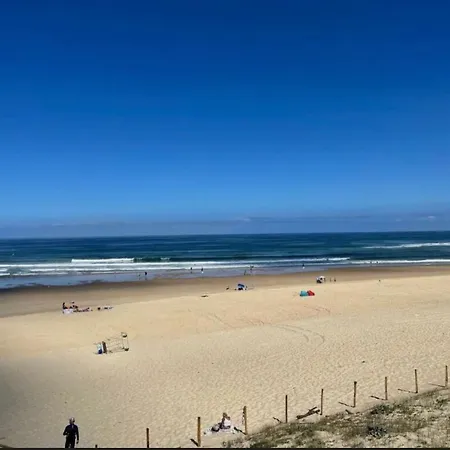 L'echappee Belle Maison Entre Pins Et Ocean Tatil Evi Bias (Landes)